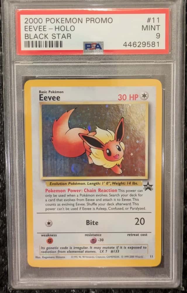 Eevee