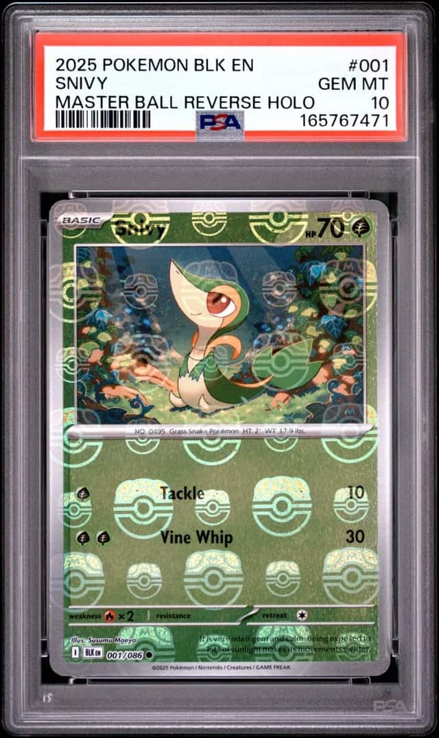Snivy