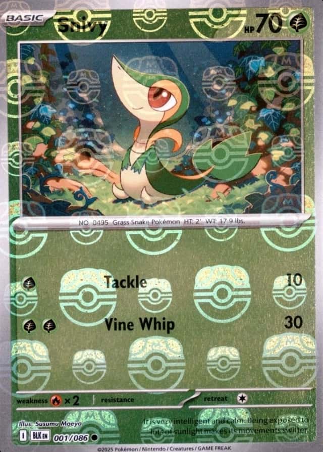 Master Ball · Reverse Holo