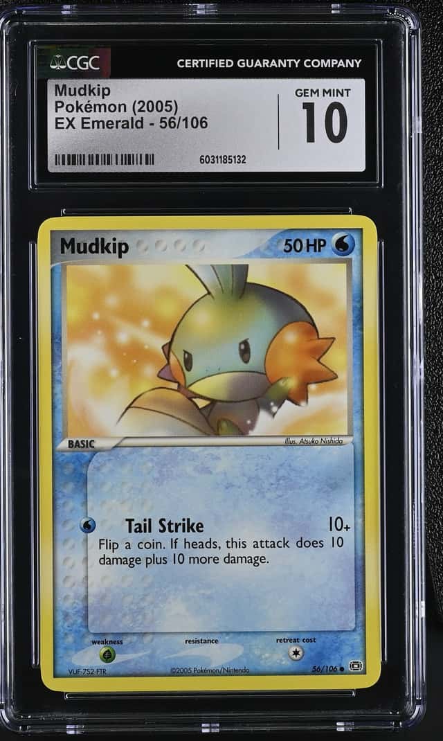 Mudkip