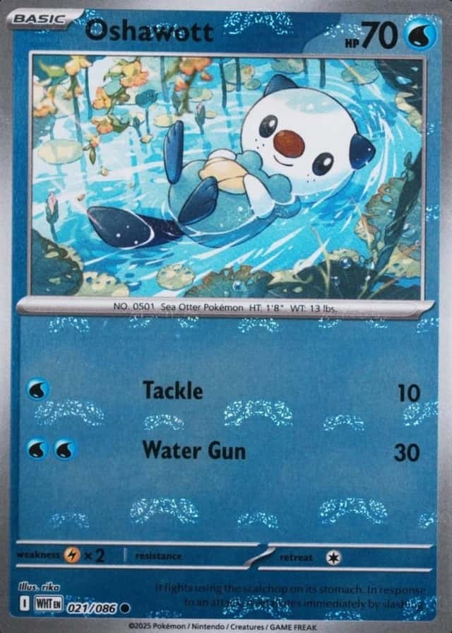 Master Ball · Reverse Holo