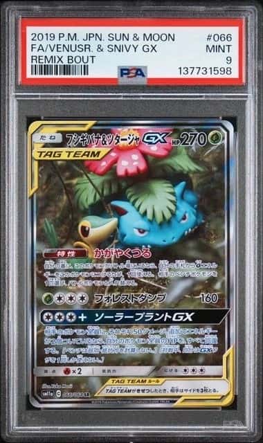 Venusaur & Snivy GX