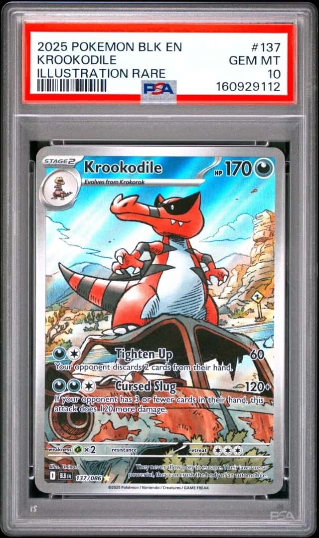 Krookodile