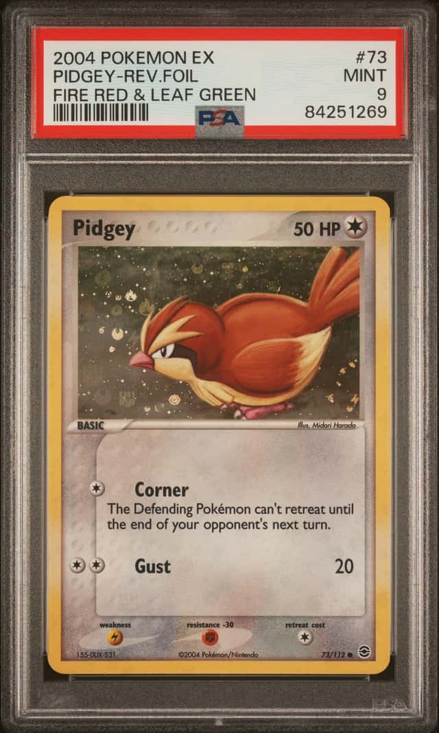 Pidgey
