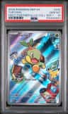 Turtwig