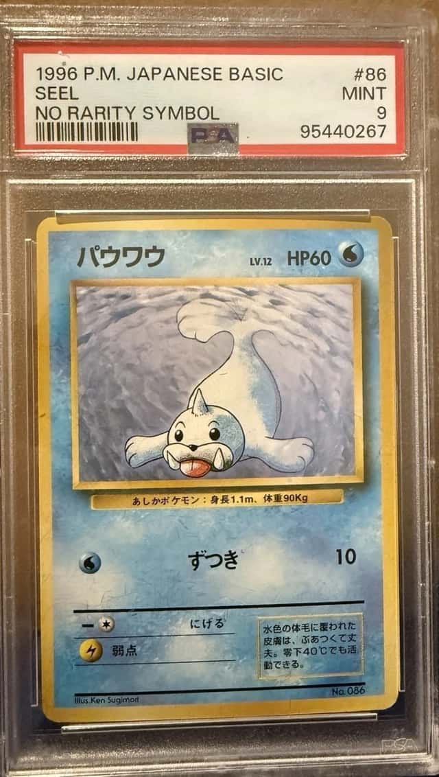 Seel