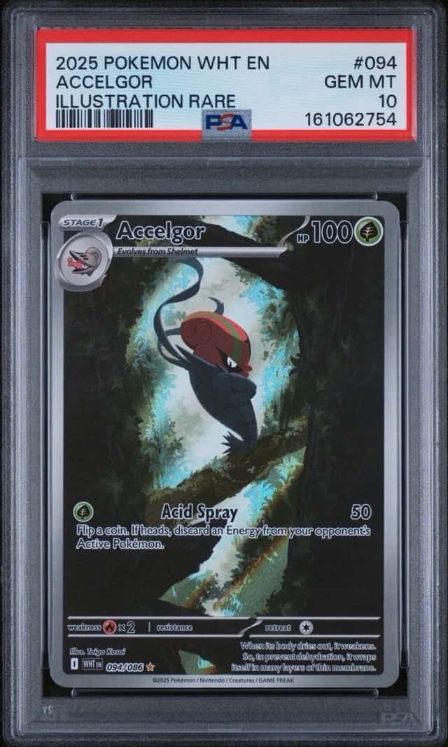 Accelgor