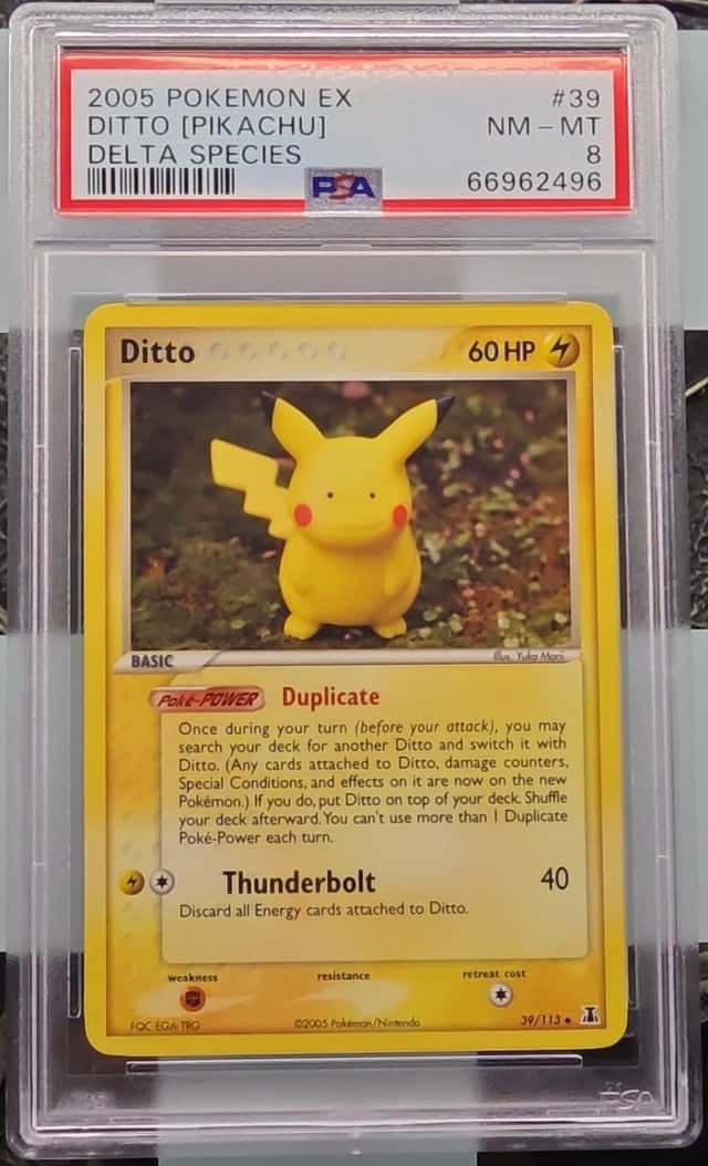 Ditto