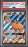 Raichu & Alolan Raichu Gx