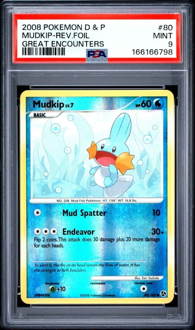 Mudkip