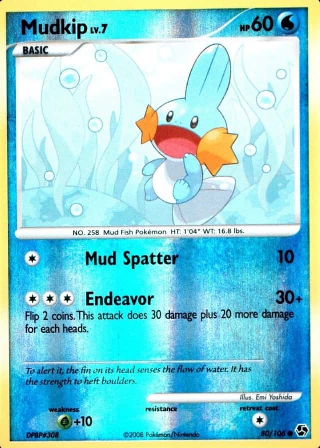 Reverse Holo