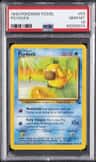 Psyduck