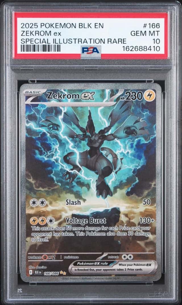 ZEKROM ex