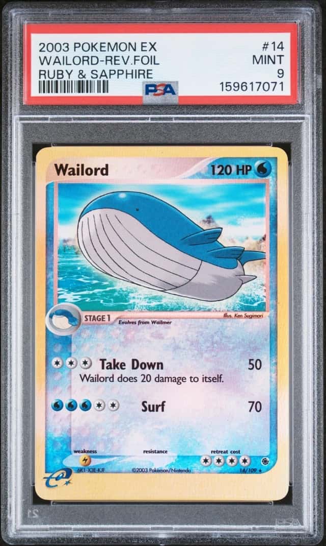 Wailord