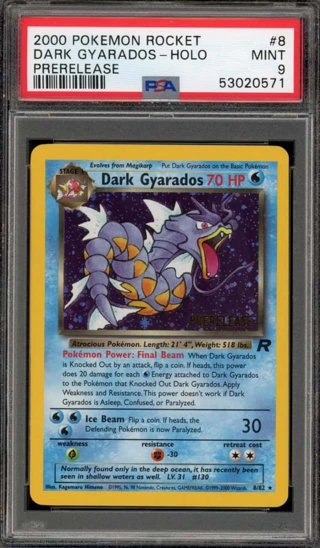 Dark Gyarados