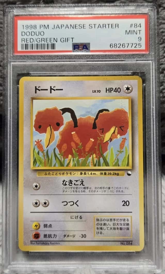 Doduo