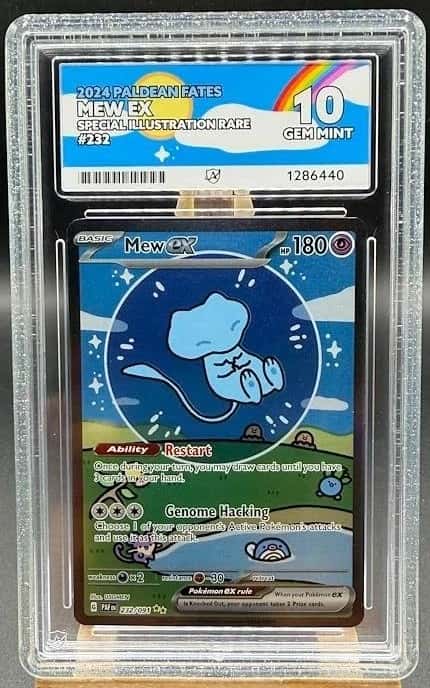 MEW ex