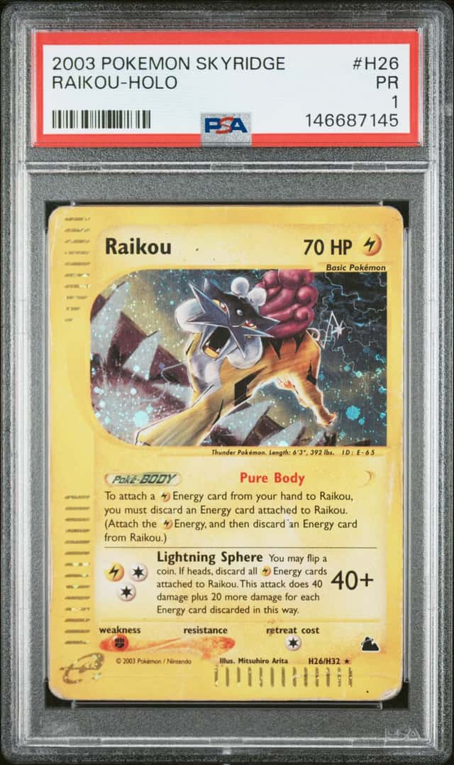 Raikou