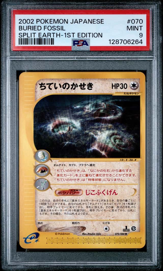 Buried Fossil
