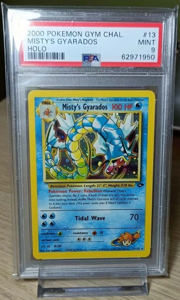Misty's Gyarados