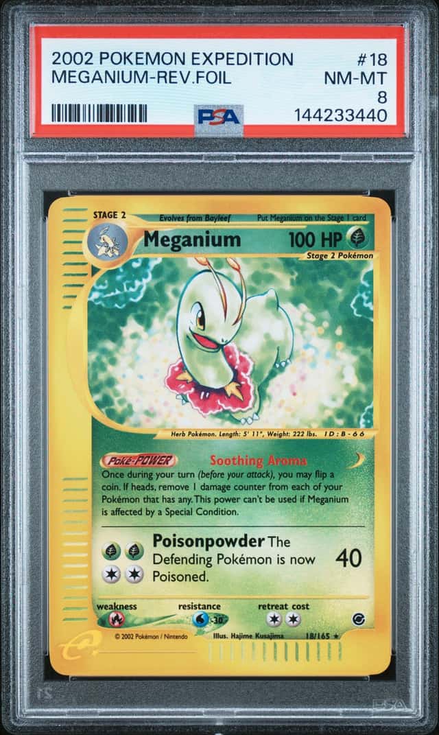 Meganium