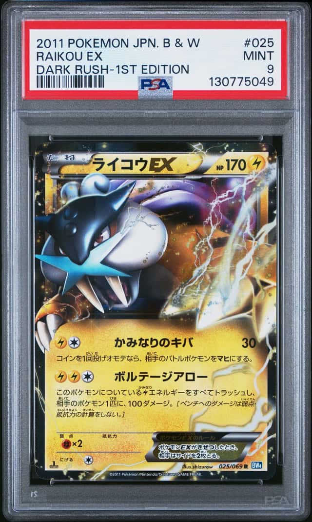 Raikou EX