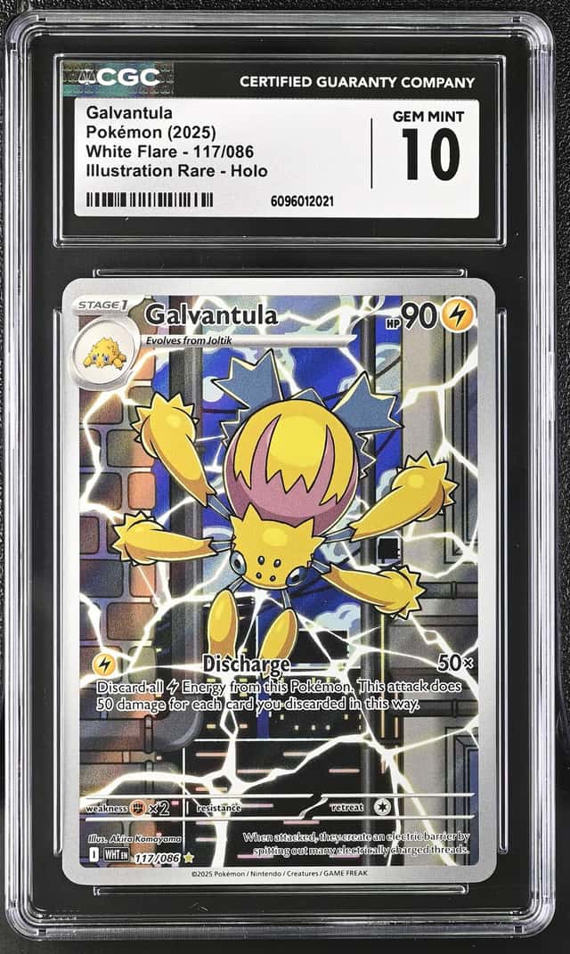 Galvantula