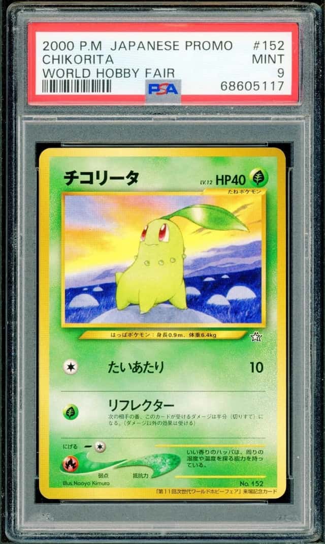 Chikorita