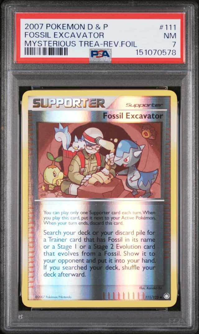 FOSSIL EXCAVATOR