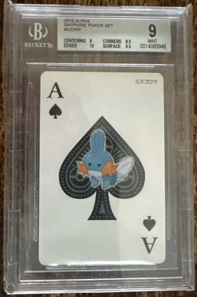 Mudkip