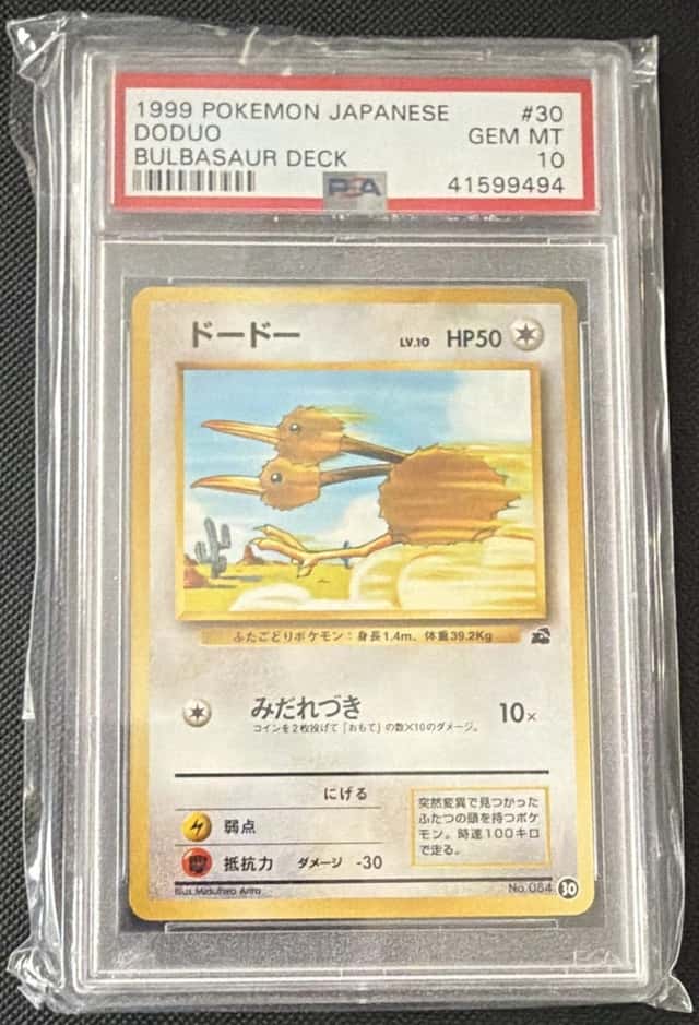 Doduo