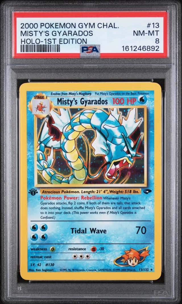 Misty's Gyarados