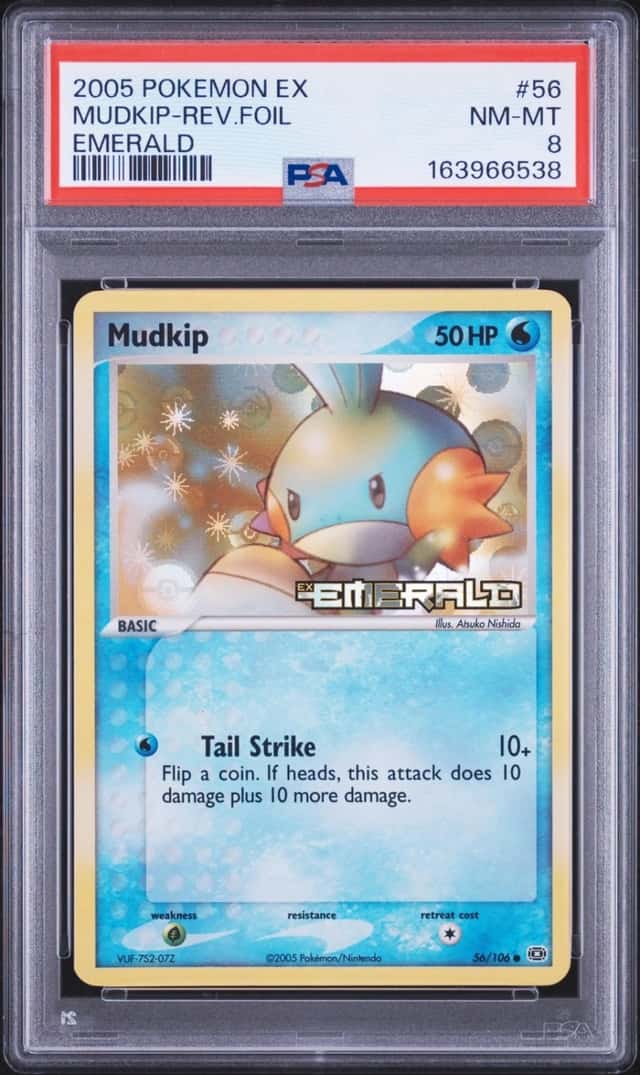 Mudkip