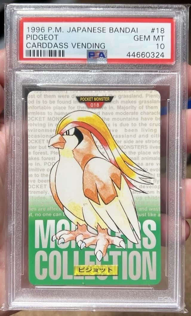 Pidgeot