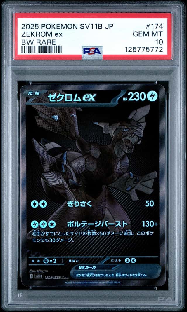 ZEKROM ex