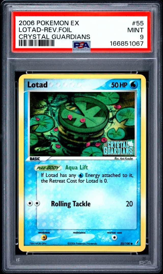 Lotad