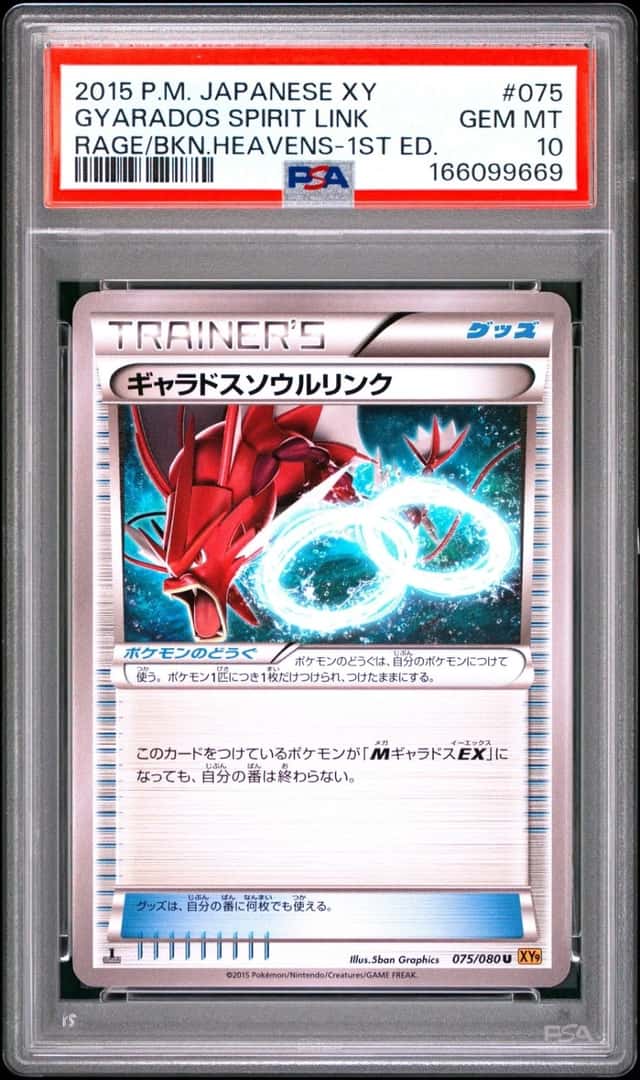 Gyarados Spirit Link