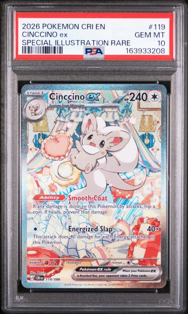 CINCCINO ex