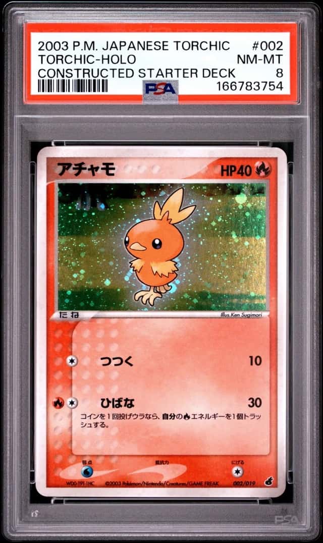 Torchic