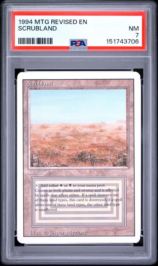 Scrubland