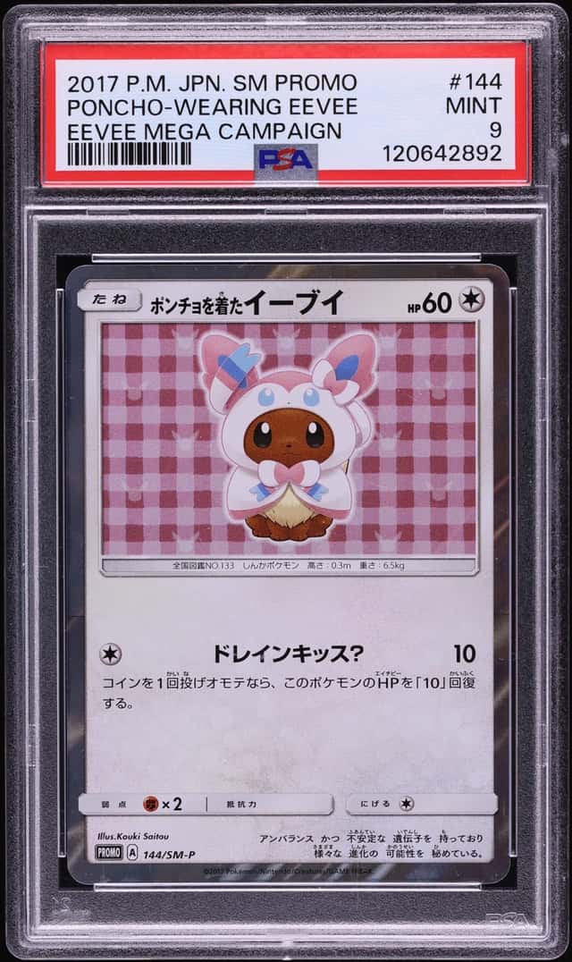 Poncho-Wearing Eevee