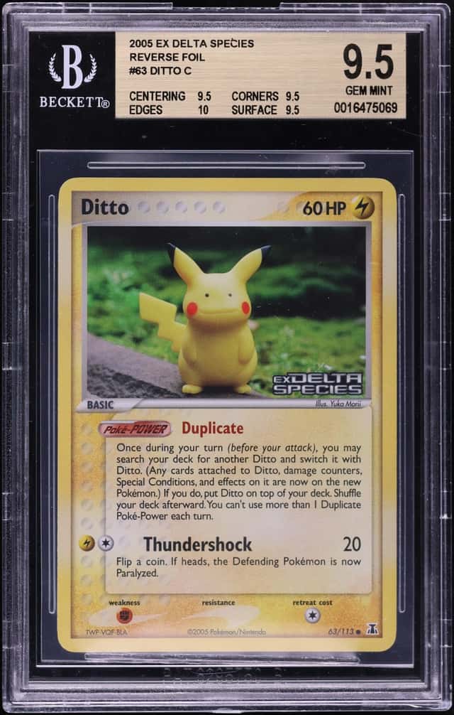 Ditto [Pikachu]