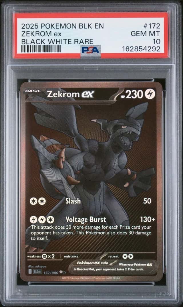 ZEKROM ex