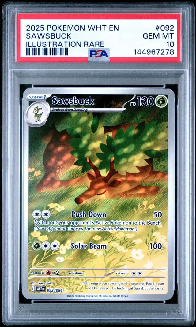 Sawsbuck