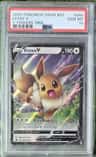 Eevee V