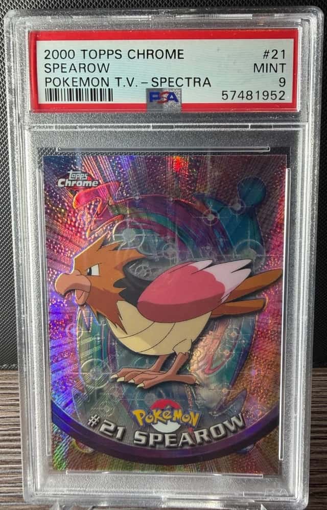 Spearow