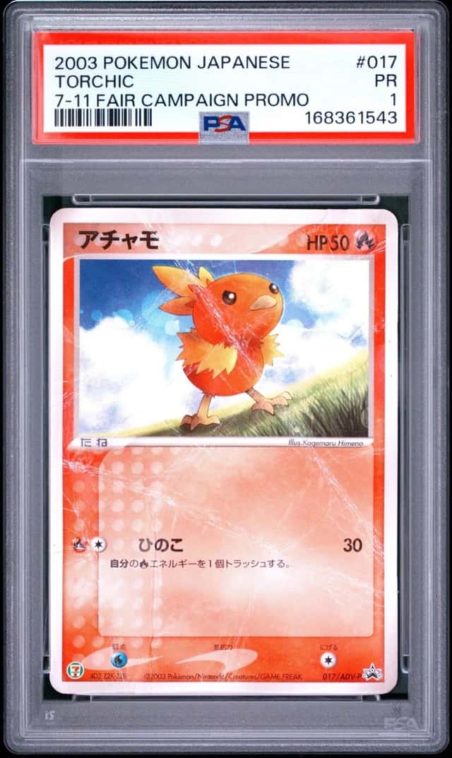 Torchic
