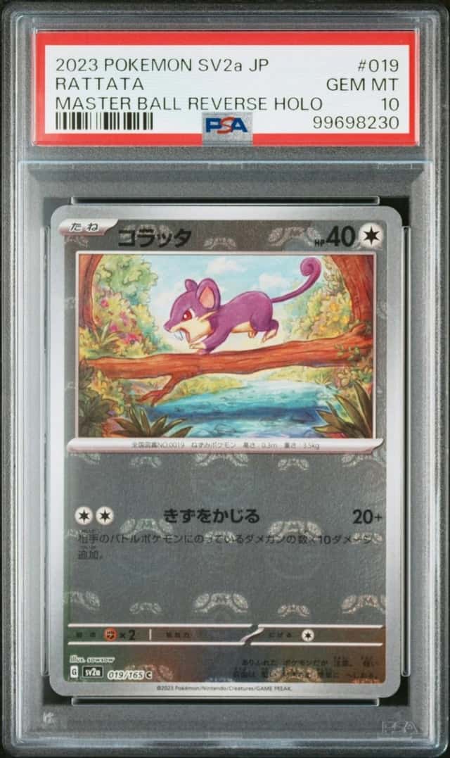Rattata