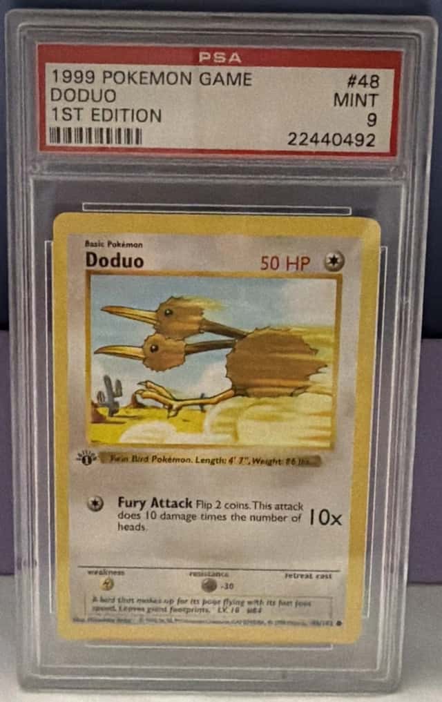 Doduo
