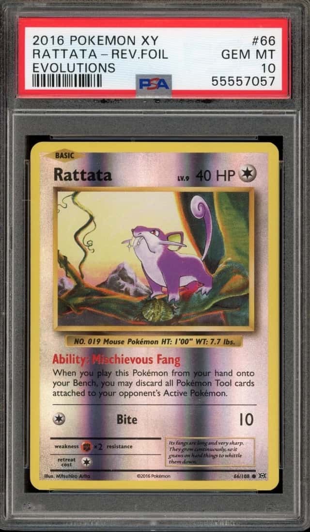 Rattata